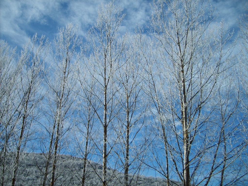 El Valle Perdido Casas Rurales Revelillas Exterior foto